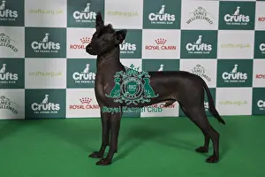 Best of Breed, Friday 7th March 2025
