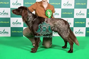 Best of Breed GERMAN LONGHAIRED POINTER (NONCC) Crufts 2023