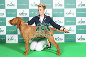 Best of Breed Hungarian Wirehaired Vizsla Crufts 2022