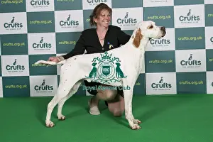 Best of Breed Pointer Crufts 2022