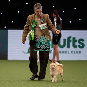 Best of Breed Schipperke Crufts 2022