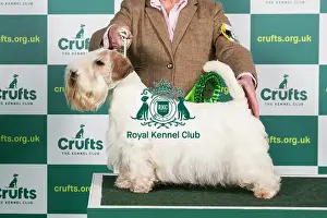 Best of Breed SEALYHAM TERRIER Crufts 2023