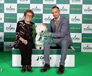 Sitting Prints: Best of breed West Highland White Terrier Crufts 2023