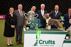 Best in Show Crufts 2023
