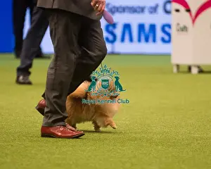 Best in Group