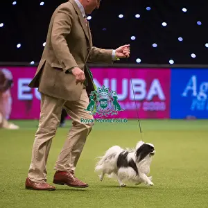Best in Group, Crufts 2015
