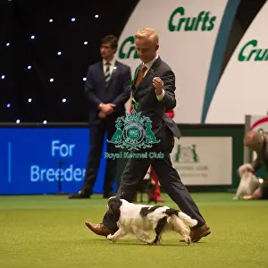 Main Arena Prints: Best in Group, Crufts 2015