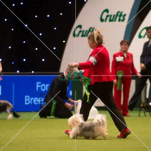Best in Group, Crufts 2015