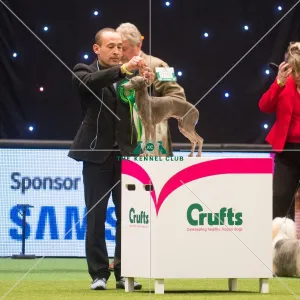 Best in Group, Crufts 2015
