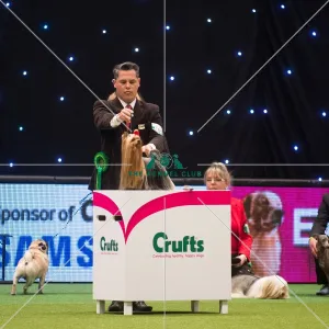 Best in Group, Crufts 2015