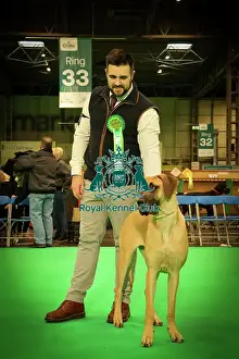 Puppy Prints: Best Puppy in Breed Great Dane at Crufts 2026