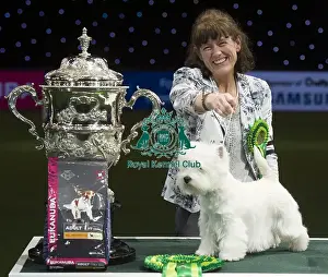 Best in Show, Crufts 2016