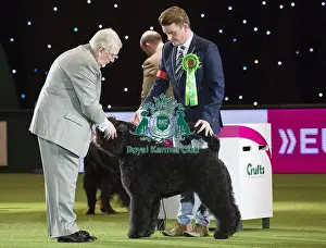 Best in Show, Crufts 2016