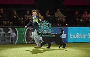 Best in Show, Crufts 2016