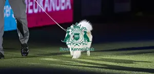 Best in Show, Crufts 2016