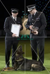 West Midlands Police Display