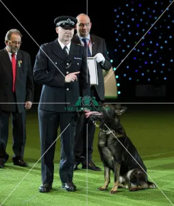 Crufts 2016