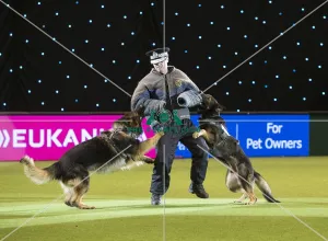 West Midlands Police Display