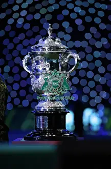 Crufts 2023 Prints: The Best in Show trophy, The Keddall Memorial Trophy (Sunday 12)