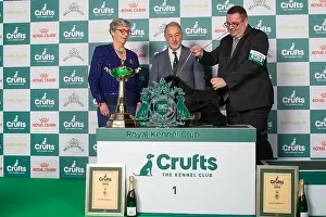 Miniature Schnauzer Prints: Best in Utility Group winner