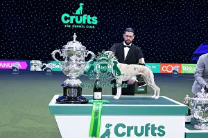 Best in Show Winner