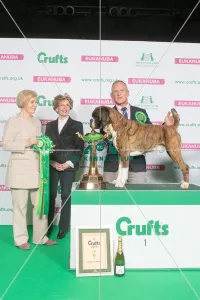 Best in Working Group, 1st place