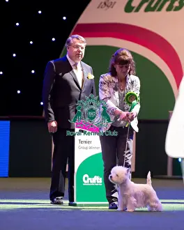 Crufts 2016 Prints: BIS winner