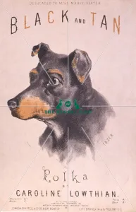 Black and Tan Polka