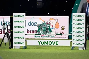 Border Collie Prints: Border Collie competing in Crufts Singles Intermediate