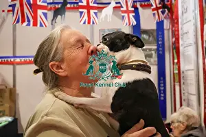 Boston Terrier Prints: Boston Terrier giving out a face wash at Discover Dogs