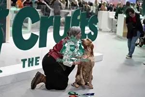 Cute Prints: Bracco Italiano in front of Crufts sign
