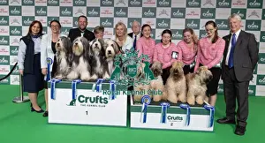 Breeder Rachel Salter with her Bearded Collie winners who was competing today in the Breeders Competiition with runners