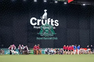 Breeders Competition Final