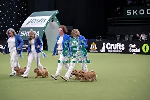 Breeders Competition Final