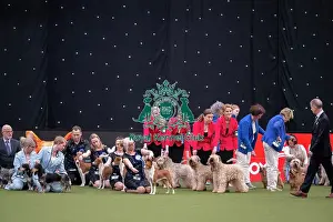 Breeders Competition Final