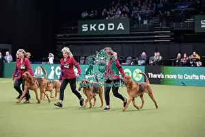 Breeders Competition Final