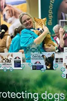 British Chihuahua rescue, general Crufts photography 2025