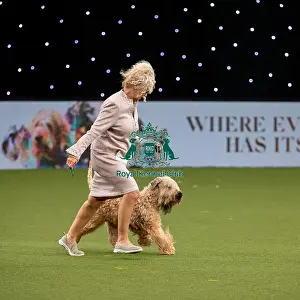 British Vulnerable Breed Competition Crufts 2022