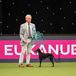 British Vulnerable Breed Competition Crufts 2022