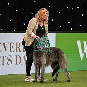 British Vulnerable Breed Competition Crufts 2022