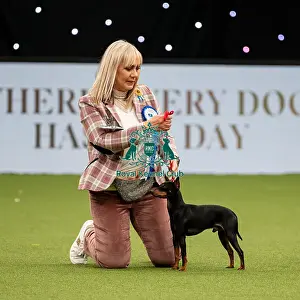 British Vulnerable Breed Competition Crufts 2022