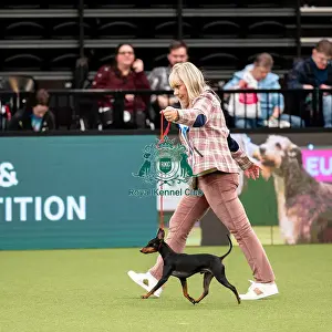 British Vulnerable Breed Competition Crufts 2022