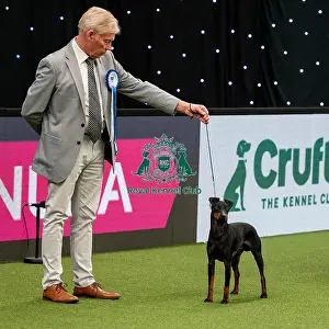British Vulnerable Breed Competition Crufts 2022