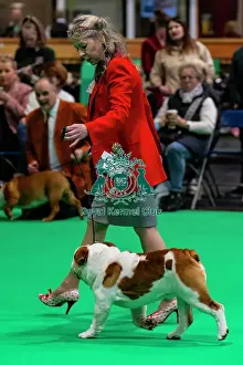 Bulldog Prints: Bulldog Showing