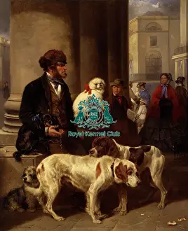Buy A Dog Ma am