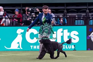 Portuguese Water Dog Prints: Byron Williams from Sutton St James