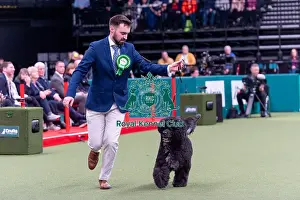 Portuguese Water Dog Prints: Byron Williams from Sutton St James
