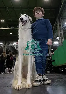 Crufts 2025 BeatMedia Prints: Camden Levison, age 5, from Malvern