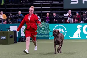 Great Dane Prints: Candice Dyson from Halifax with Shirley