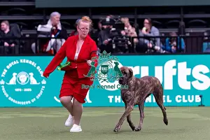 Great Dane Prints: Candice Dyson from Halifax with Shirley